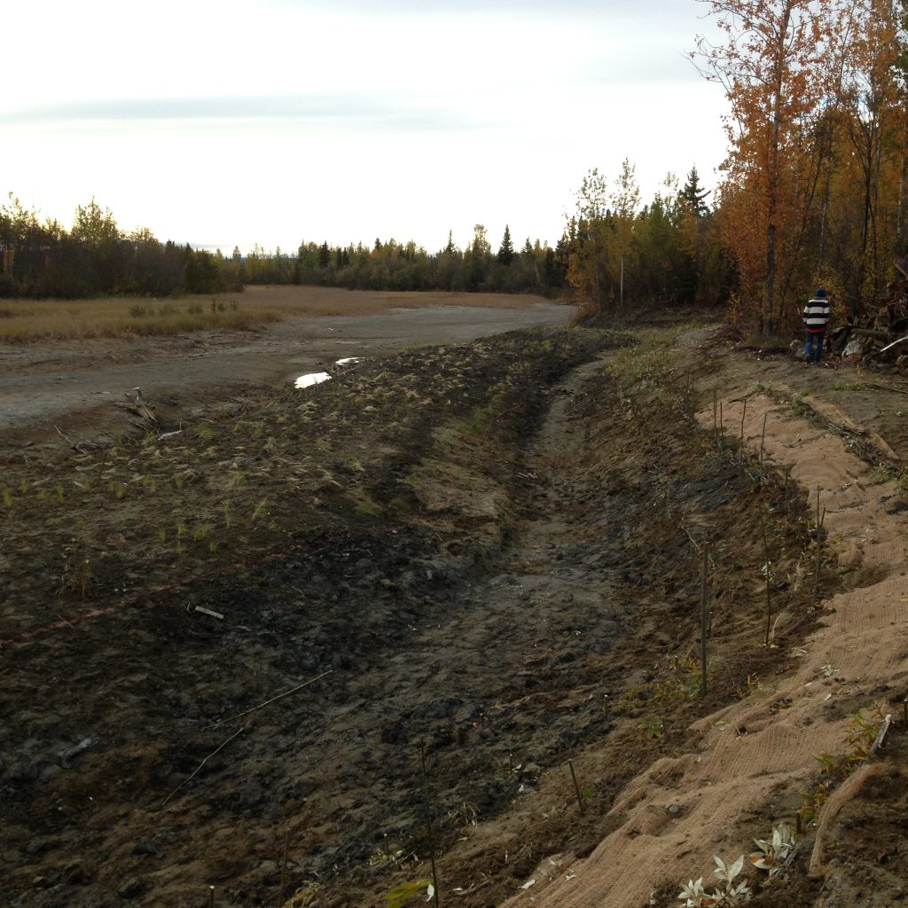 Tanana Lakes Wetlands Restoration Fairbanks, AK